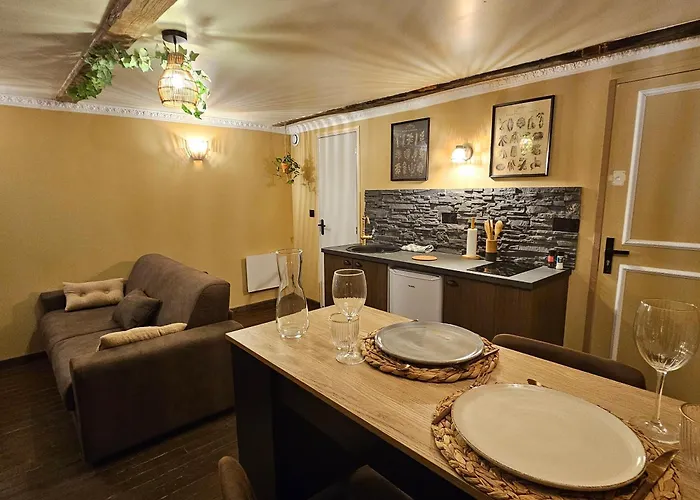 Studio Rustique En Coeur De Ville